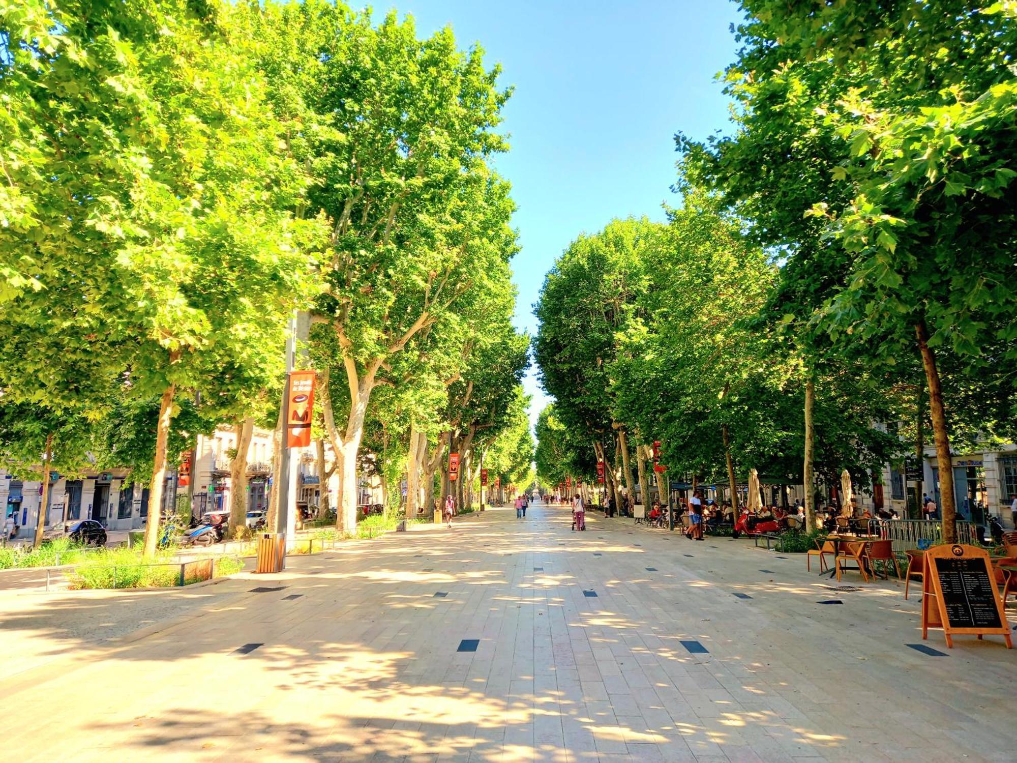 T3 Aqui Es Besiers - Centre-Historique - Cathedrale & Halles - Clim - Wifi - Free Parking Sur Demande Beziers Exterior photo